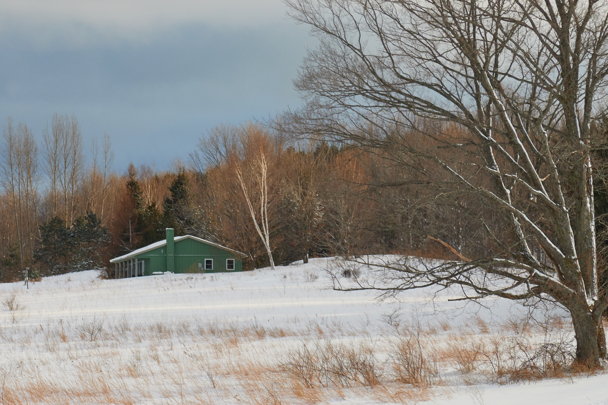Winter Scene