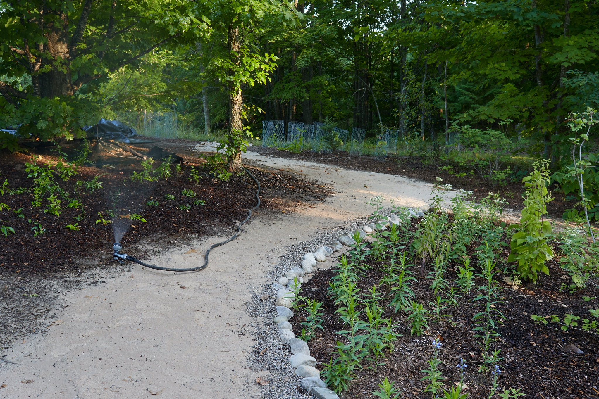 New Path