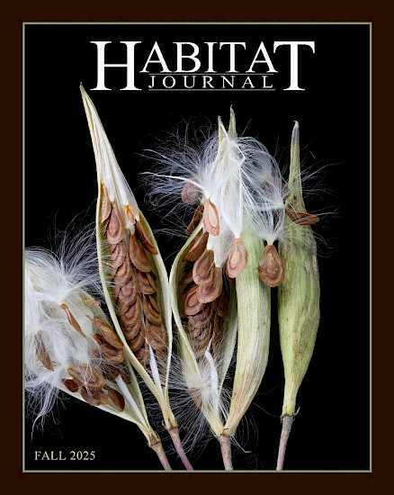 Habitat Journal, Fall 2025 issue cover