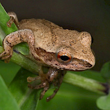 Gary Schultheiss and Barbara Richman
